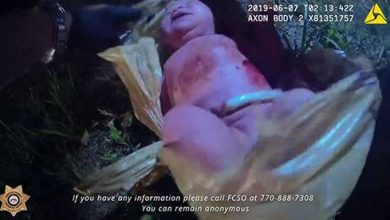Photo of فيديو يظهر طفلة متروكة داخل كيس | جريدة الأنباء