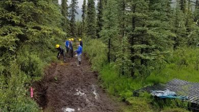 Photo of سائح يعلقون داخل متنزه في ألاسكا الأمريكية بسبب انهيارات أرضية