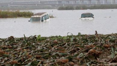 Photo of تفاقم كارثة إعصار هاجيبيس المدمر في اليابان والبحث عن مفقودين