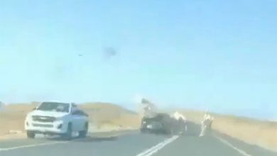 Photo of فيديو عنيف سيارة ترتطم بجمل سائب في | جريدة الأنباء