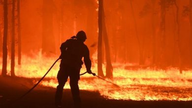 Photo of تحذيرات من استمرار الحرائق في أستراليا
