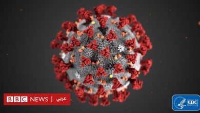 Photo of فيروس كورونا: كيف يختار العلماء اسما لأي فيروس جديد؟