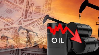 Photo of النفط الكويتي ينخفض إلى دولار للبرميل