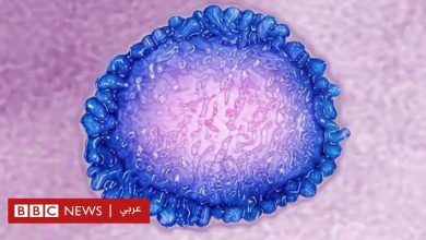 Photo of فيروس كورونا: لماذا صُنف وباءً عالميا؟