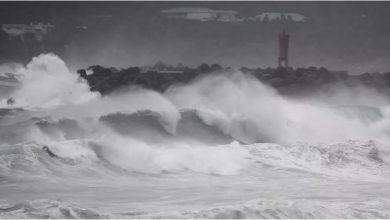 Photo of الإعصار هايشن يتجه إلى كوريا الجنوبية بعد اجتياحه اليابان