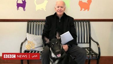 Photo of كلب الرئيس الأمريكي جو بايدن يعض موظفا آخر في البيت الأبيض