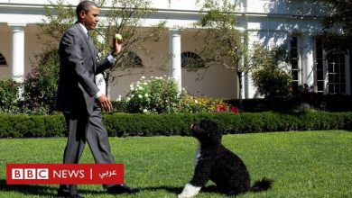 Photo of عائلة الرئيس الأمريكي السابق باراك أوباما تودّع الكلب “بو”