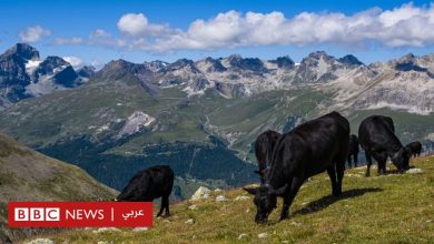 Photo of تغير المناخ: الناخبون السويسريون يرفضون إجراءات مقترحة من الحكومة لمكافحة الظاهرة