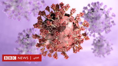 Photo of فيروس كورونا: من أين جاء متحور أوميكرون ولماذا يهتم العلماء بمعرفة منشأه؟